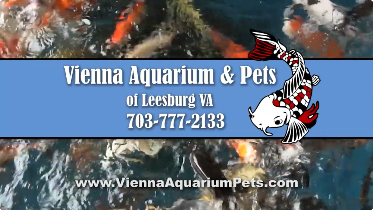 Watch our store video